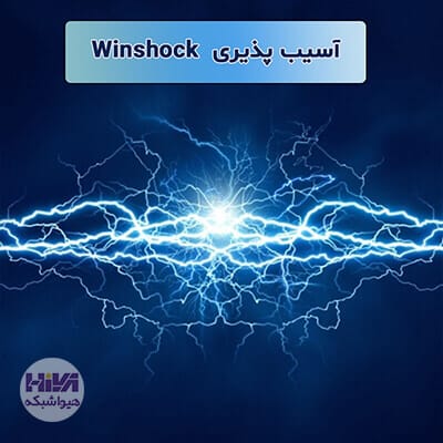 winshock.jpg