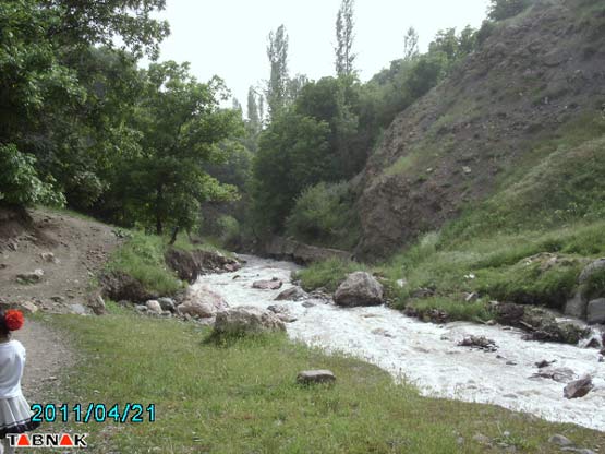 97494_341.jpg