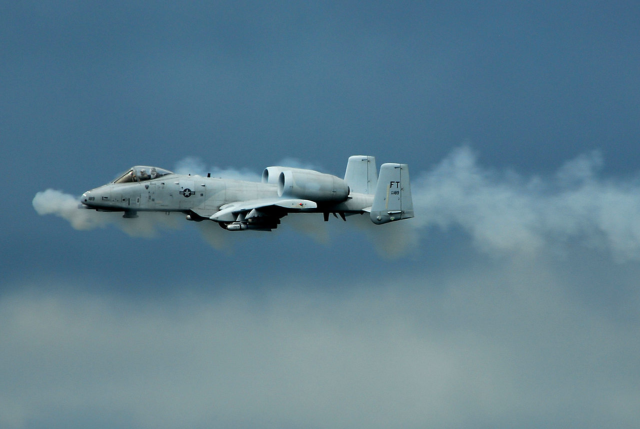 1280px-Warthog.jpg