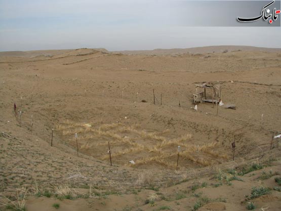 148816_525.jpg