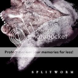 sh3-splitworm.jpg