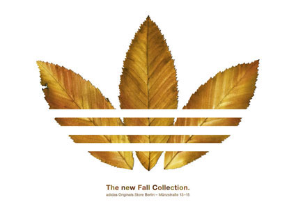 adidas_fallcollection.jpg