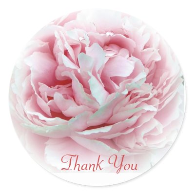 thank_you_flower_envelope_seals_sticker-p217184649021275345qjcl_400.jpg