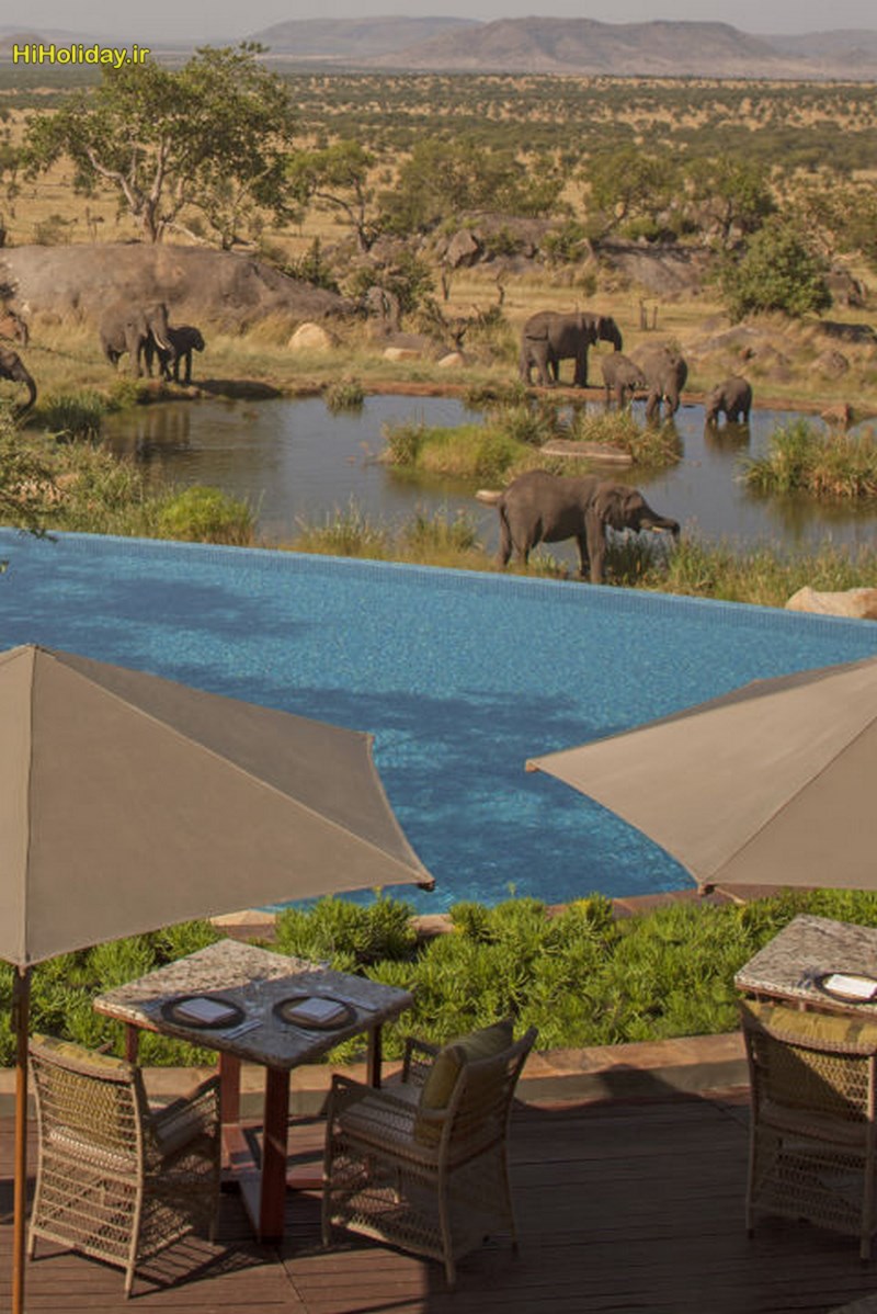 hotel-pools-four-seasons-safari2.jpg