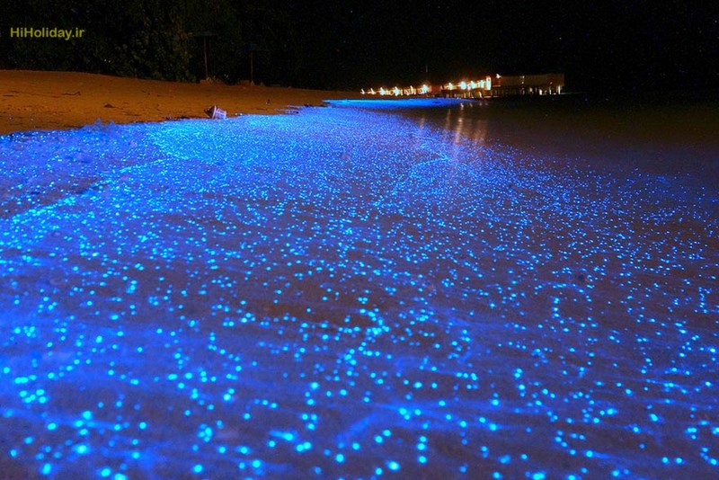 Maldives-Beach-That-Looks-Like-Starry-Night-Sky.jpg