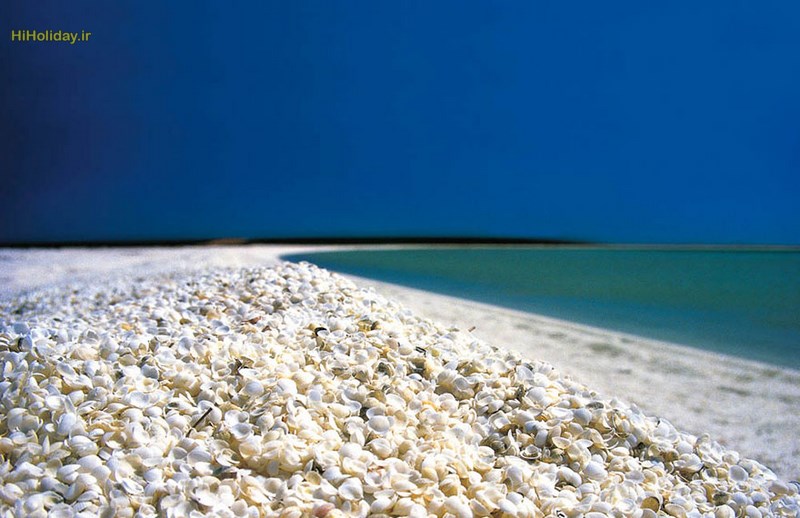 Shell-Beach-Shark-Bay-Australia.jpg