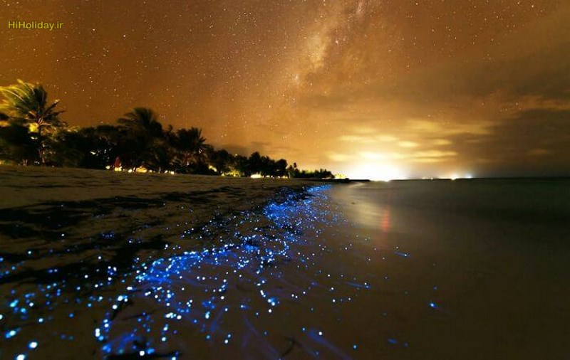 Bioluminescent-Beach-in-Maldives.jpg