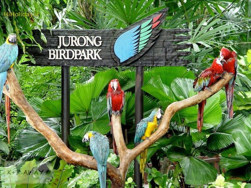 jurong-birdpark_2.jpg