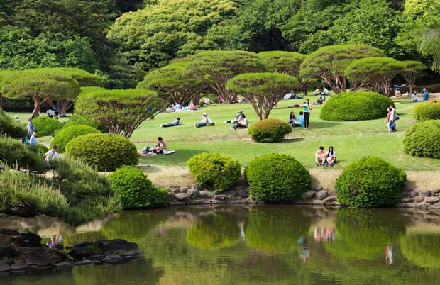 5-shinjuku_gyoen_national_garden.jpg