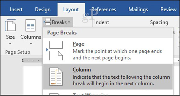 Column-in-Microsoft-Word-2.jpg