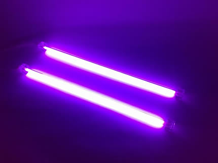 purple-neons.jpg