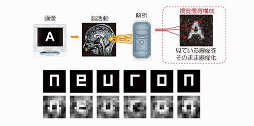 neuron-brain_01.jpg