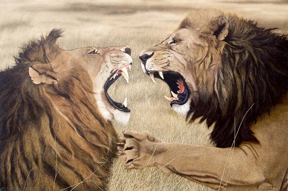 Fighting-Lions.jpg