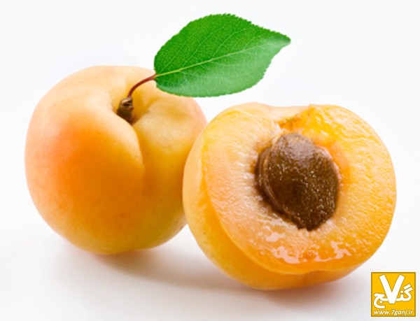 apricot.jpg