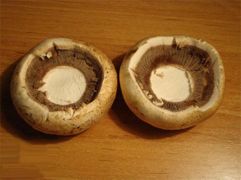 mushroom-abdomen-full-with-meat-wheel-in-oven02.jpg