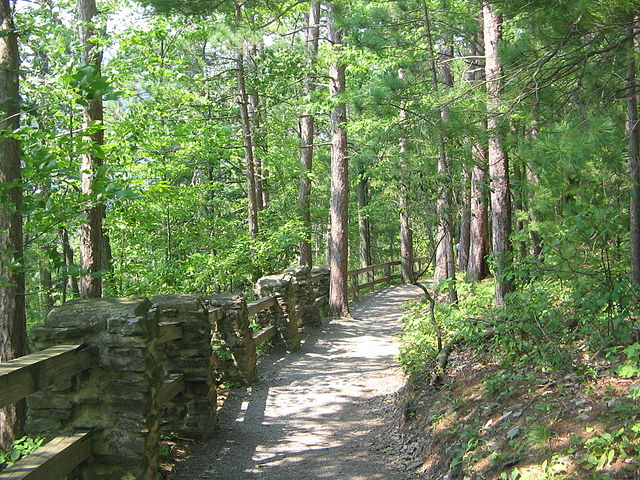 640px-Leonard_Harrison_State_Park_Turkey_Path_1.jpg